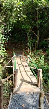 Ponte - nomondo