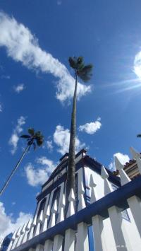Igreja do Sagrado Coração de Jesus - nomondo