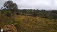 Ruínas da Fazenda Duas Pontes - nomondo