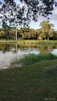 Lagos da UFV, Campus Florestal - nomondo
