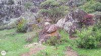 Pedra do Coração - nomondo