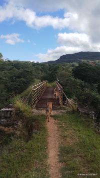 Ponte de ferro - nomondo