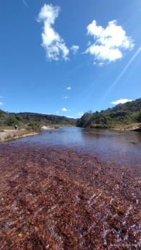 Travessia do Rio Pinheiro - nomondo
